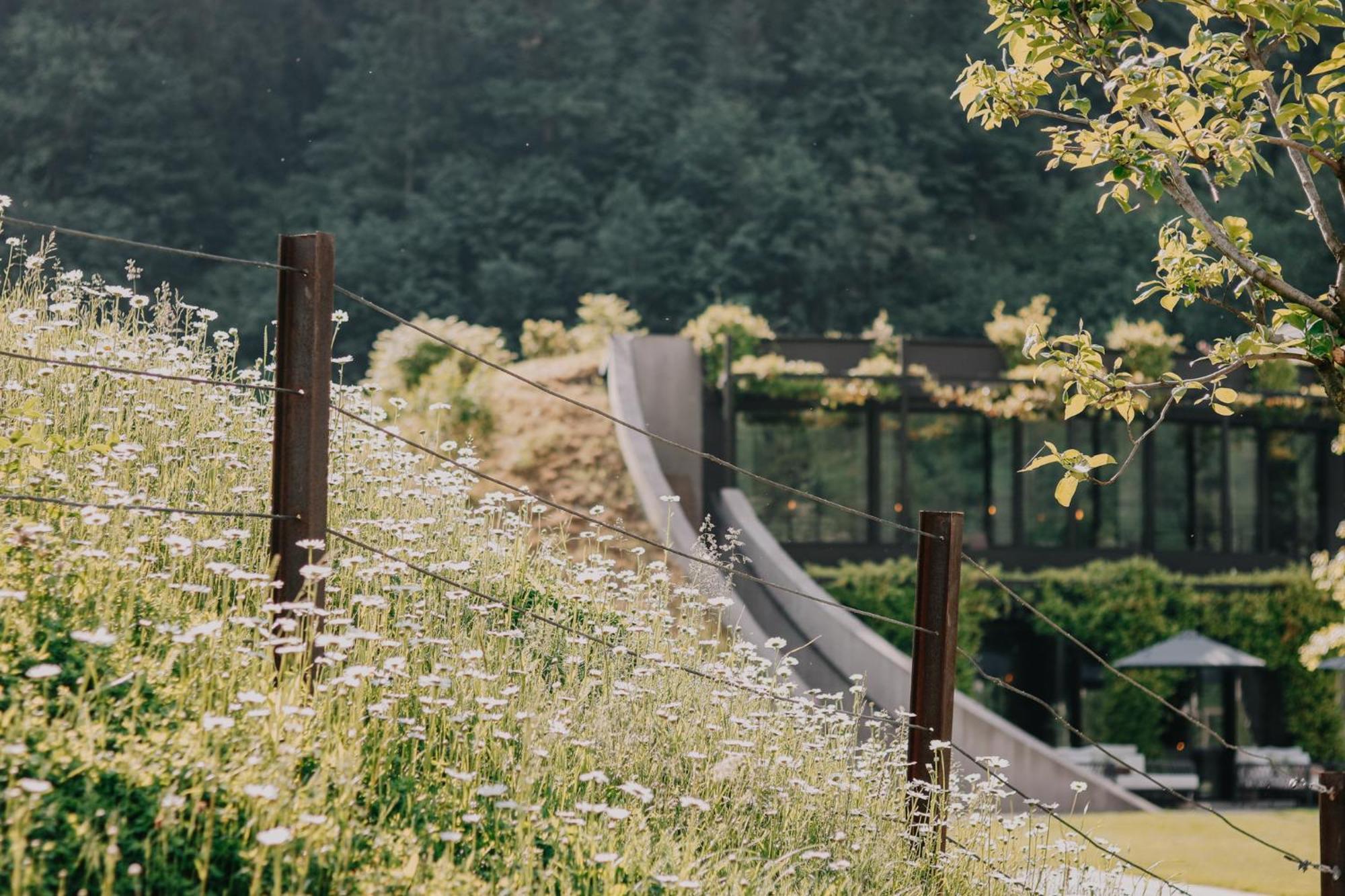 Apfelhotel Torgglerhof ซัลตูซิโอ ภายนอก รูปภาพ